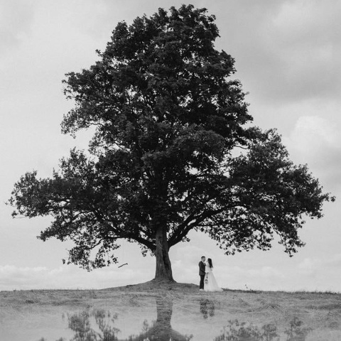 Стёпа Добровольский