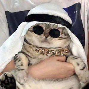 Лорд Макинтош