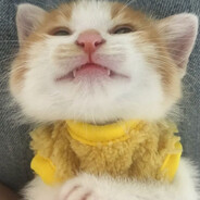 meow meow :33