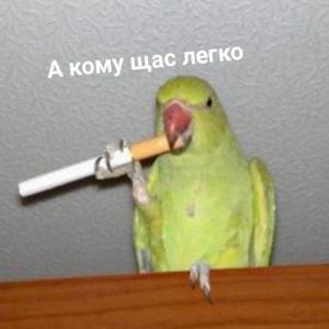 WackywOw