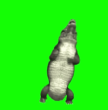 Krokodil4k